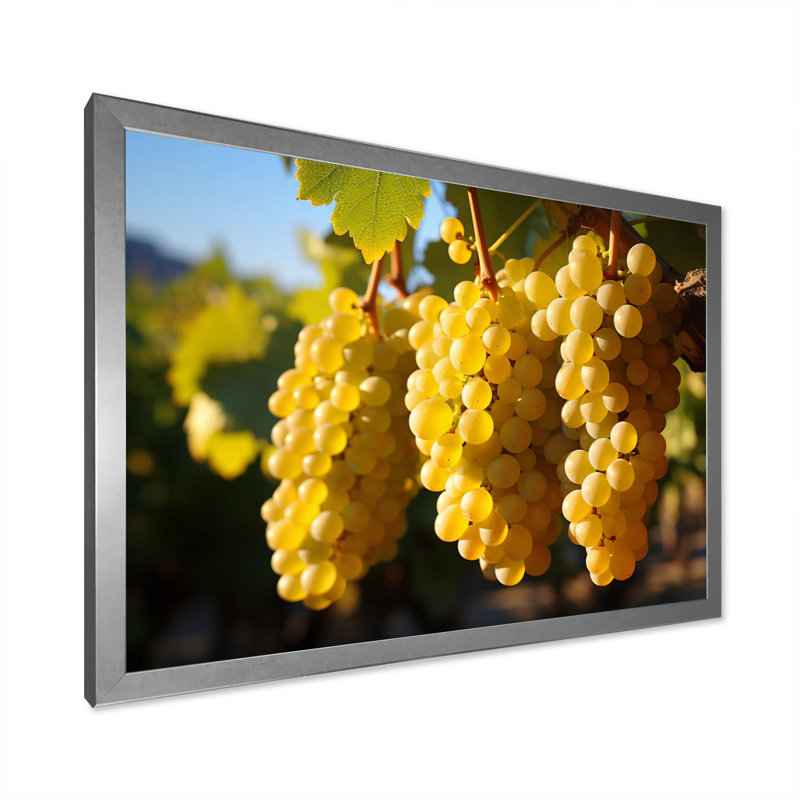 «Golden Grapes Vineyard II», reproduction sur toile, H 24 po x l 32 po x P 1 po, Cadre photo argenté