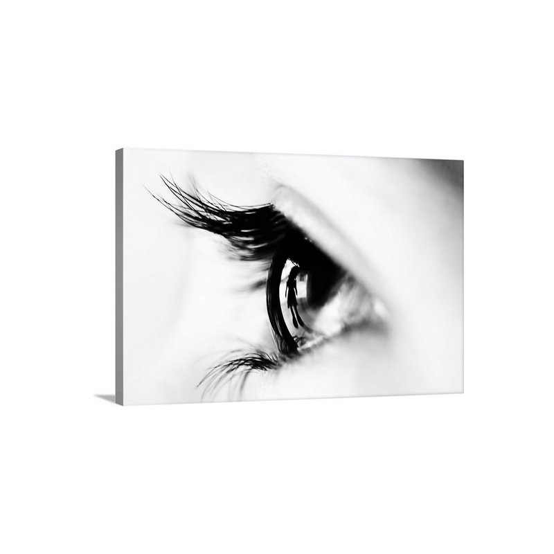 Following You Photographic Print on Canvas, 20" H x 30" W