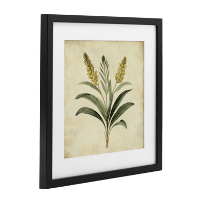 Illustration rétro, reproduction encadrée sous verre, par Petal Prints Design