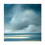 «Skaket Blue», art par Rick Fleury-1923200795