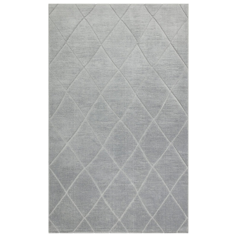 Tapis gris en polyester tissé à la machine Aukerman, Rectangle 3 pi 11 po x 5 pi 11 po