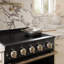 ZLINE Autograph 30 in. Black Stainless Marino Induction Range with Champagne Bronze Accents