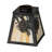Rustic Lodge 6'' H Glass Square Lamp Shade