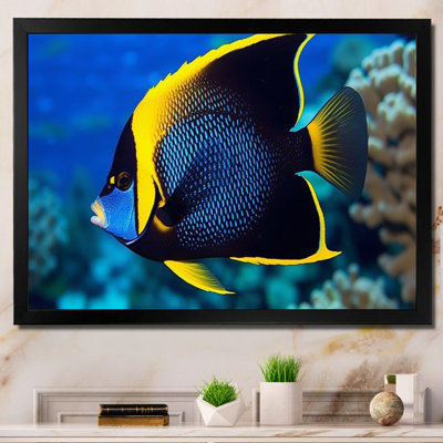 Finned Fish Wonders I