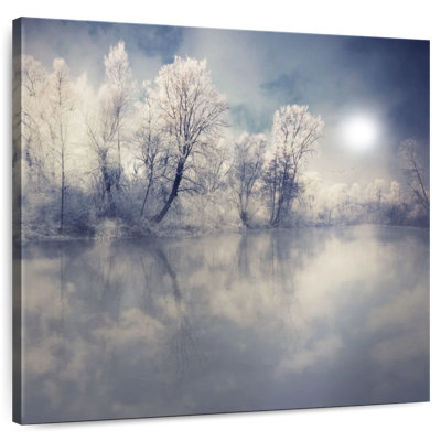 Alvord Misty Winter Forest