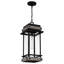 Franciane 1-Light Matte Black Mini Pendant Light