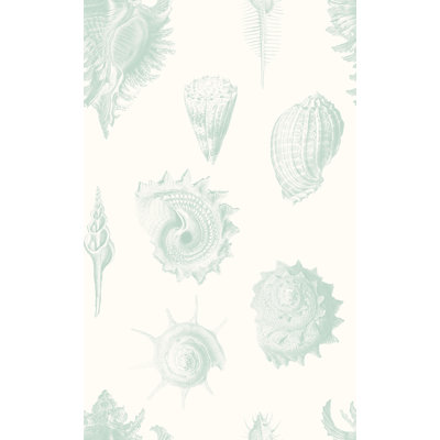 Shell Fossils 33' L x 20.5" W  Wallpaper Roll