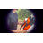 2 In 1 Folding Hand Truck-114853777