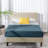 Rajneet Upholstered Platform Bed-972576496-1006865183