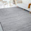 Hand Knotted Area Rug in Silver/Beige-1146680736