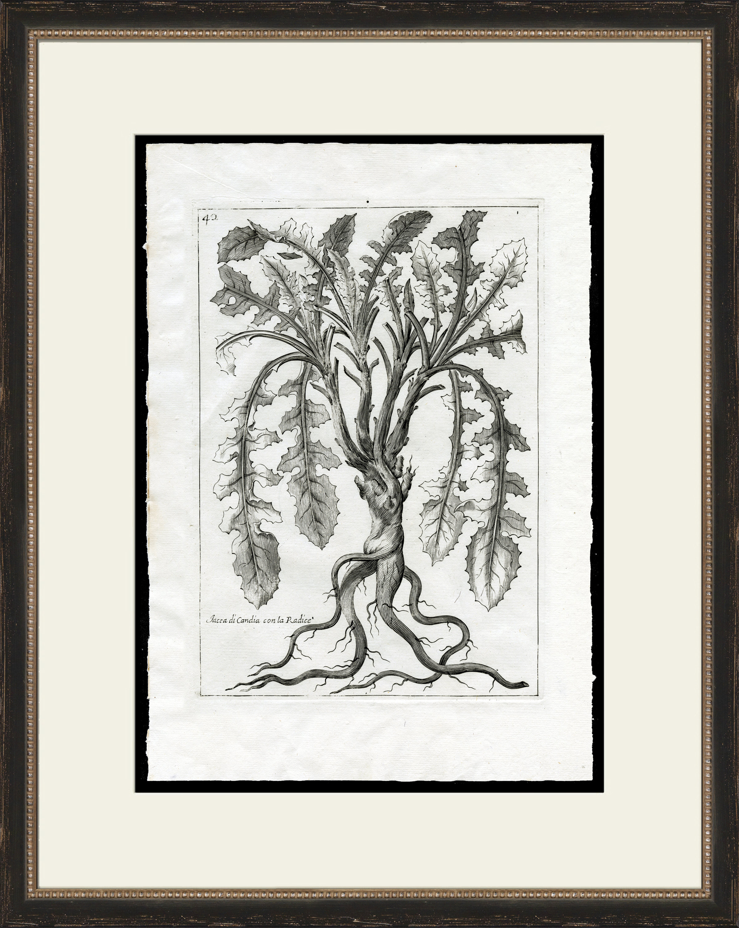 Wendover Art Group Rooted Plant I - Picture Frame Painting on Paper ...