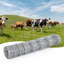 Clôture pour bétail, clôture en fil galvanisé robuste pour cerfs, chèvres, porcs, moutons, fil articulé pour bétail, revêtement en zinc épais, clôture agricole pour la protection du bétail et de la cour-134241719