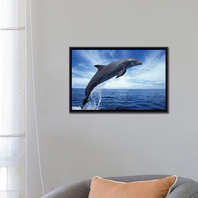 « bottlenose dolphin' », reproduction de photo sur toile