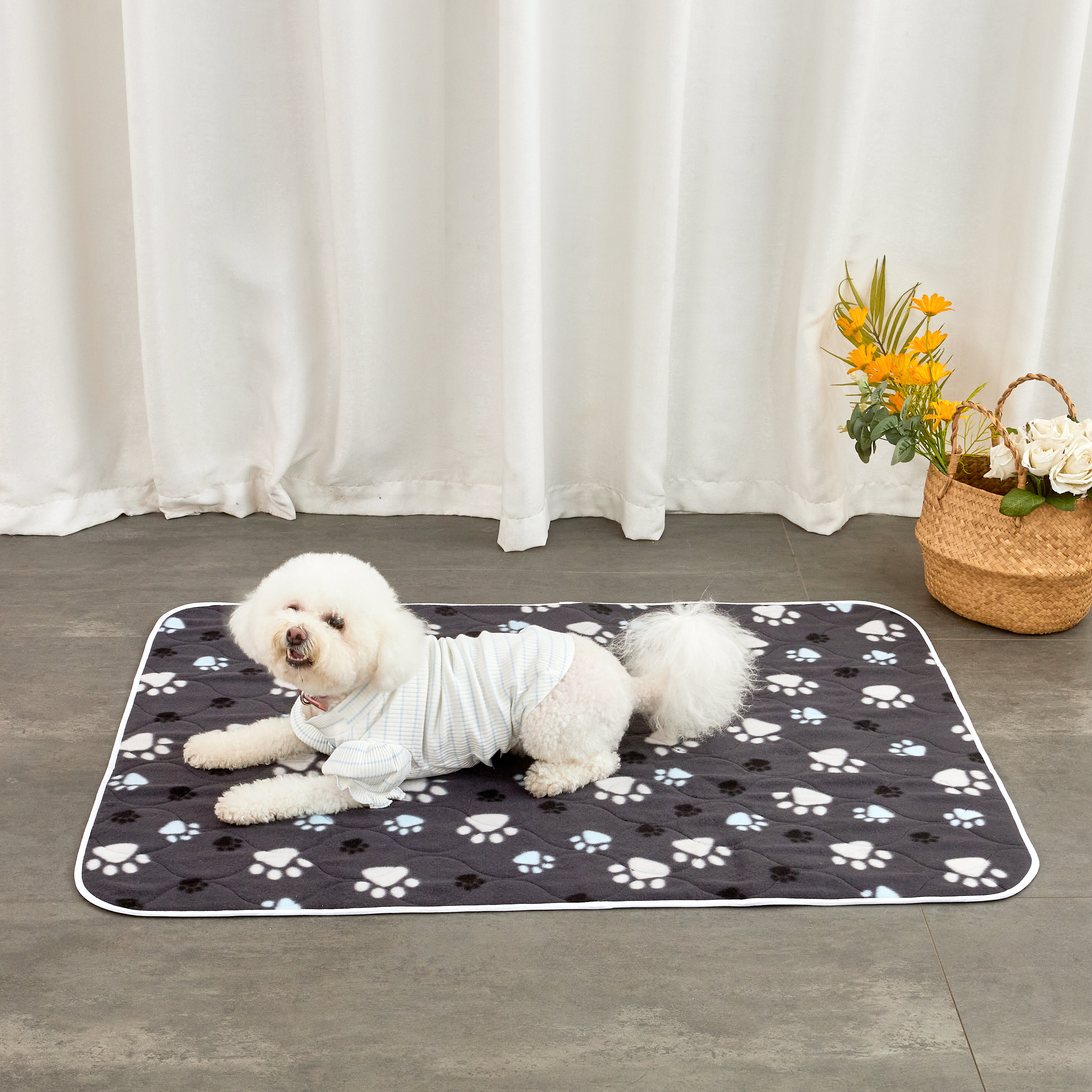 72 x72 Extra Large, Washable Pet Dog Pee Mat for Playpen, Floor, Bed, Sofa and Trunk Tucker Murphy Pet Color: Black