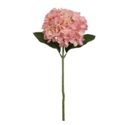 Tige d'hortensia 18 po - paquet de 6