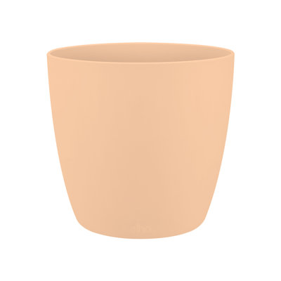 Pot Planter
