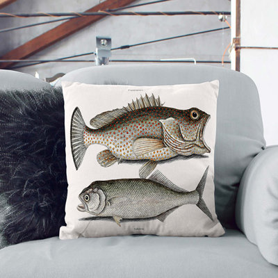 Square Throw Cushion