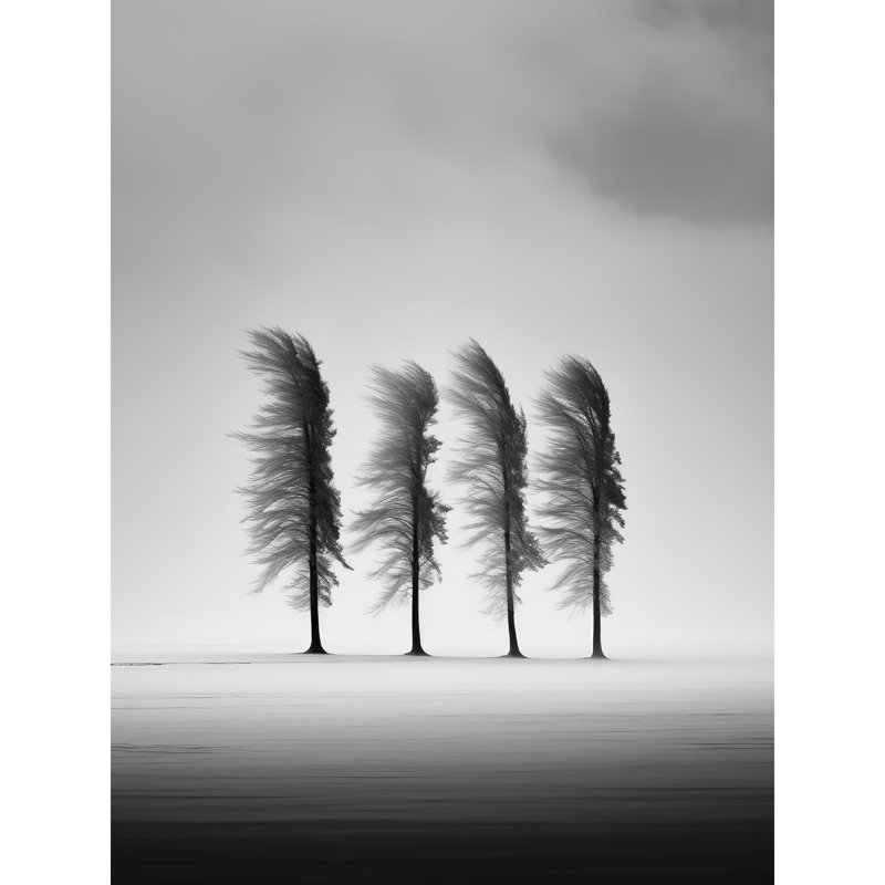 Wall Art Print Still Holding Strong Winter Landscape Photograph Wind Blowing on a Row of Cypress Hills Poster