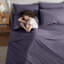 Ensemble de draps en microfibre Hotel Luxury-879320280-879279230