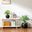 TYHPOT Ceramic Pot Planter-659573
