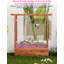 Lit de jardin surélevé avec treillis