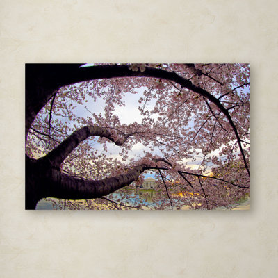 Nartuni "Cherry Blossoms 2014-1" par CATeyes, reproduction de photo sur toile tendue