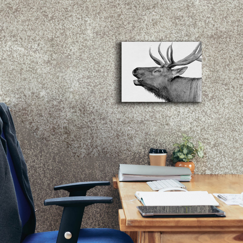 «Deer» par PhotoINC Studio, H 12 po x l 16 po x P 0,75 po