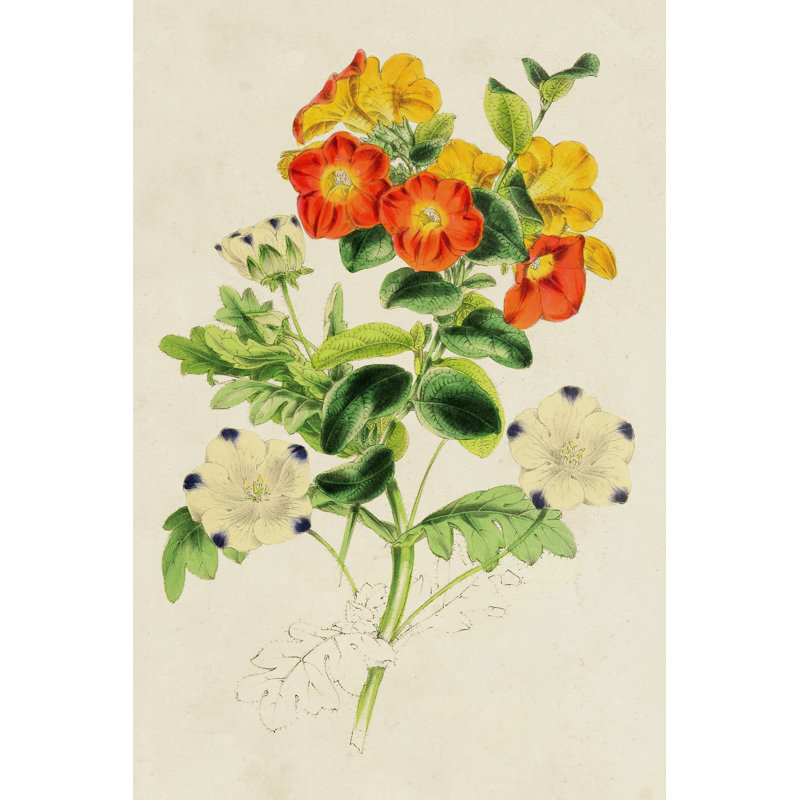 Paxton Botanical Pairing II by Paxton - Wrapped Canvas Print, 46cm H x 30cm W x 3.8cm D
