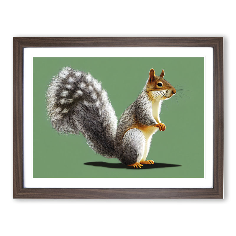 Beauteous Squirrel - Single Picture Frame Print, 46cm H x 64cm W x 2cm D, Brown Framed