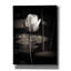 «Lotus Flower VI» par Debra Van Swearingen, art mural sur toile-1616139111