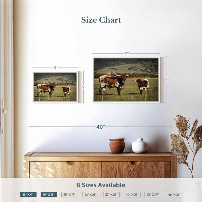 Texas Longhorn et son mollet, 19 po x 13 po, Cadre flottant blanc