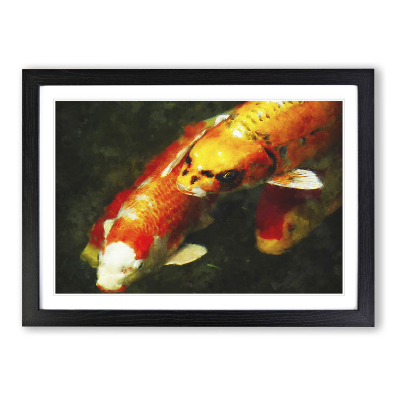 Koi Fish - Framed Print, 48cm H x 65cm W x 2cm D, Black Framed