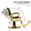 Black & Gold Salon Barber Chair 360 Degree Swiveling Recliner