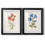 «Botanical I», ensemble de 2 reproductions d'art-271774448-271774477-272082544