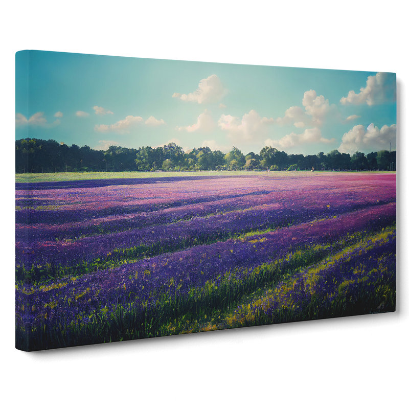 Unbeatable Bluebell Field - Wrapped Canvas, 50cm H x 76cm W x 3cm D