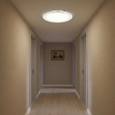 Flush Mount