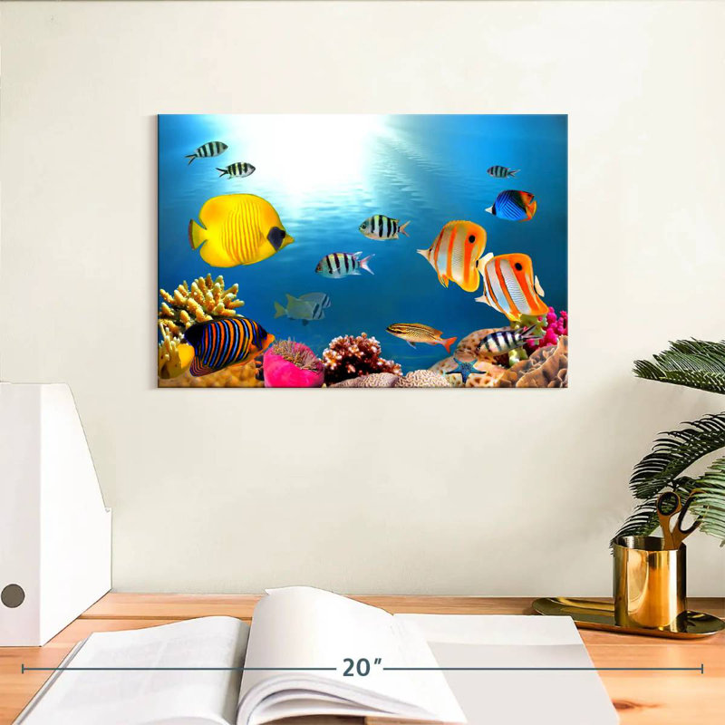 Poissons tropicaux et coraux, H 8 po x l 12 po