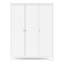 Cynsere 3 Door Manufactured Wood Wardrobe-1755354967
