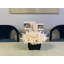 Pampas & Magnolia Leaf in Glass Pot with Rock-1408785774-1408785773