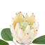 Faux Stem Tropical Arrangement 470mm (12pk)-1971626870