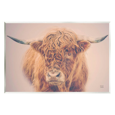 Highland in Winter brouillard, vache brune, art mural par Nathan Larson