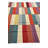 8x11 Petrella Multi Rug