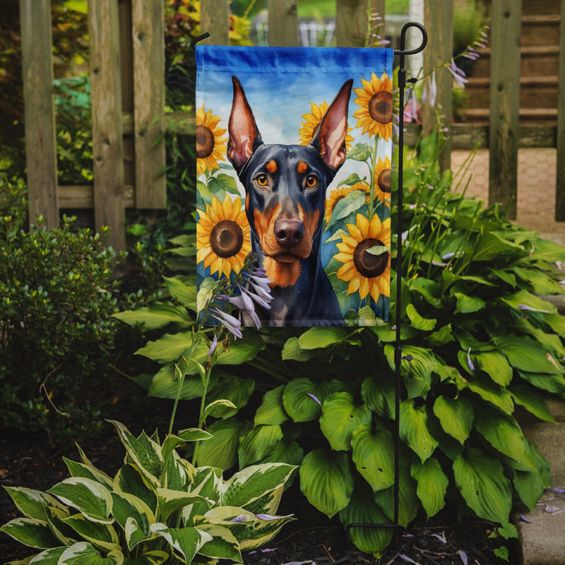 Lévrier irlandais dans le drapeau du jardin de tournesols, Doberman pinscher