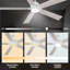 Ventilateur de plafond avec lumière Liandro-1257514112