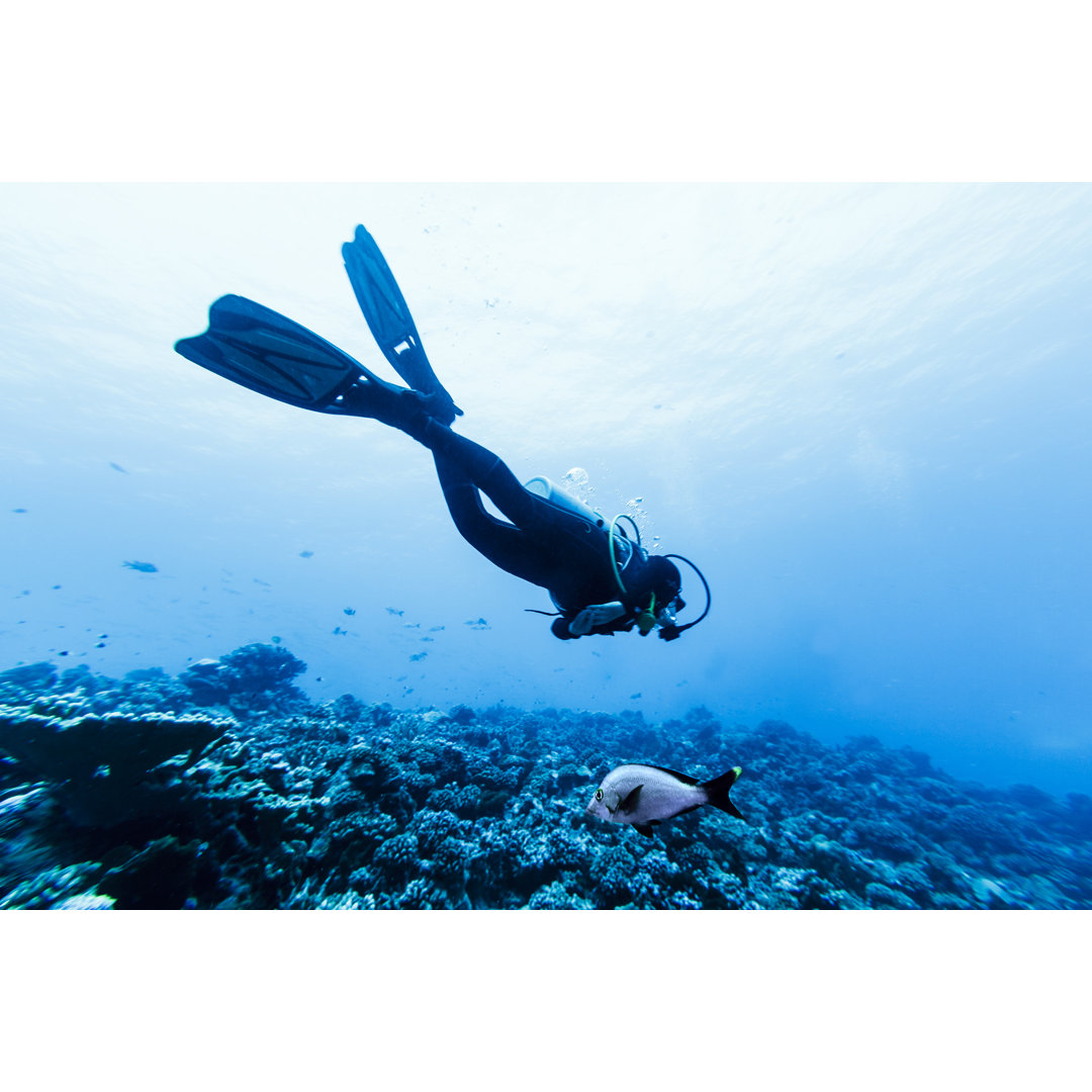 Taucher schwimmen - Leinwandbild