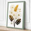 Study Botanical 1 Piece Wrapped Canvas Wall Art-2138805435-2138805432