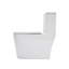 Toilette brute de 12 pouces, céramique blanche, chasse double 1,1 / 1,6, jet siphon, carte 800G, siège à fermeture en douceur, toilette en céramique silencieuse et puissante pour la salle de bain, jet avec fonctionnement
