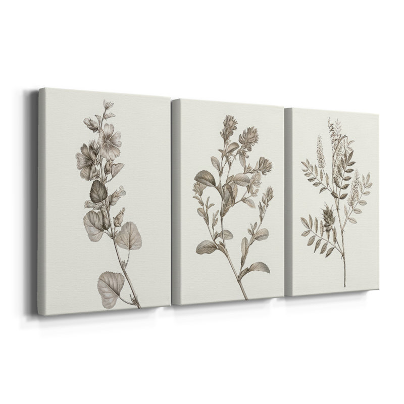 Neutral Botanical Study I - Toile tendue sur mesure avec châssis - 3 pièces, Toile tendue, H 27 po x l 54 po