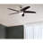 Bendan 52'' Ceiling Fan with LED Lights