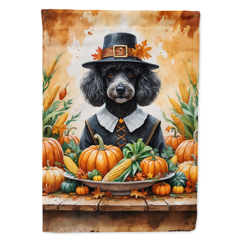 Drapeau de l'Action de grâce, Caniche noir
